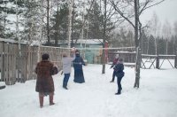 Рождественская ёлка в зимнем лесу