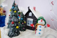 В Новобелицком районе завершились «Рождественские встречи»