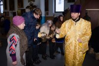 Божественная литургия в день памяти ап. Тимофея