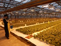 СВЕТЛОГОРСК. Встреча настоятеля храма святителя Кирилла епископа Туровского г. Светлогорска протоиерея Сергия Киселья с сотрудниками овощной фабрики г.Светлогорска. СВЕТЛОГОРСК. Встреча настоятеля храма святителя Кирилла епископа Туровского г. Светлогорска протоиерея Сергия Киселья с сотрудниками овощной фабрики г.Светлогорска.