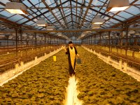 СВЕТЛОГОРСК. Встреча настоятеля храма святителя Кирилла епископа Туровского г. Светлогорска протоиерея Сергия Киселья с сотрудниками овощной фабрики г.Светлогорска. СВЕТЛОГОРСК. Встреча настоятеля храма святителя Кирилла епископа Туровского г. Светлогорска протоиерея Сергия Киселья с сотрудниками овощной фабрики г.Светлогорска.