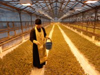 СВЕТЛОГОРСК. Встреча настоятеля храма святителя Кирилла епископа Туровского г. Светлогорска протоиерея Сергия Киселья с сотрудниками овощной фабрики г.Светлогорска. СВЕТЛОГОРСК. Встреча настоятеля храма святителя Кирилла епископа Туровского г. Светлогорска протоиерея Сергия Киселья с сотрудниками овощной фабрики г.Светлогорска.