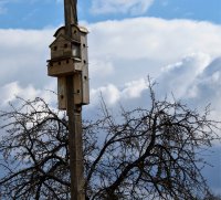 РОГАЧЕВ. Учащиеся воскресной школы посетили Казимировский Свято-Успенский женский монастырь РОГАЧЕВ. Учащиеся воскресной школы посетили Казимировский Свято-Успенский женский монастырь