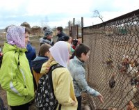 РОГАЧЕВ. Учащиеся воскресной школы посетили Казимировский Свято-Успенский женский монастырь РОГАЧЕВ. Учащиеся воскресной школы посетили Казимировский Свято-Успенский женский монастырь