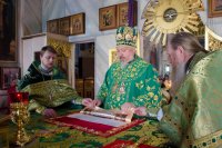 Божественная литургия в праздник Входа Господня в Иерусалим