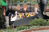 Экологическая акция «Чистое небо»