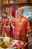 Божественная литургия в праздник иконы Божией Матери "Живоносный Источник"