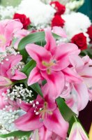 Божественная литургия в день памяти блж. Матроны Московской Божественная литургия в день памяти блж. Матроны Московской