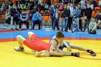 ЖЛОБИН. Священнослужитель принял участие в церемонии открытия соревнований по греко-римской борьбе ЖЛОБИН. Священнослужитель принял участие в церемонии открытия соревнований по греко-римской борьбе