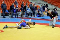 ЖЛОБИН. Священнослужитель принял участие в церемонии открытия соревнований по греко-римской борьбе ЖЛОБИН. Священнослужитель принял участие в церемонии открытия соревнований по греко-римской борьбе