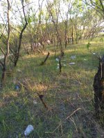 Велосипедный эко-марафон Велосипедный эко-марафон