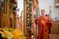 Божественная литургия в праздник иконы Божией Матери "Неупиваемая чаша"