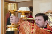 Божественная литургия в праздник иконы Божией Матери "Неупиваемая чаша"