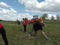Уборка бывшего захоронения святого заступника земли Гомельской — праведного Иоанна Кормянского в деревне Огородня.