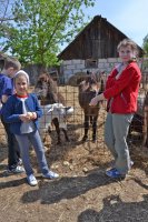 Вот и лето пришло!