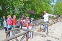 Вот и лето пришло!