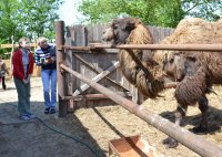 Вот и лето пришло!