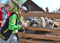 Вот и лето пришло!