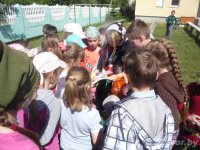 Мероприятия ко Всемирному дню защиты детей