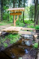 В праздник Святой Животворящей Троицы цветом радости и улыбок озарилась вся Гомельская Епархия (ОБНОВЛЯЕТСЯ)