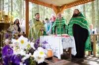 В праздник Святой Животворящей Троицы цветом радости и улыбок озарилась вся Гомельская Епархия (ОБНОВЛЯЕТСЯ)