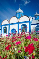 Божественная литургия в праздник Рождества Предтечи и Крестителя Господня Иоанна