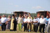СВЕТЛОГОРСК. Районные «Зажинки-2017» СВЕТЛОГОРСК. Районные «Зажинки-2017»