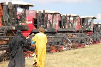 СВЕТЛОГОРСК. Районные «Зажинки-2017» СВЕТЛОГОРСК. Районные «Зажинки-2017»