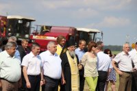 СВЕТЛОГОРСК. Районные «Зажинки-2017» СВЕТЛОГОРСК. Районные «Зажинки-2017»