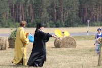 СВЕТЛОГОРСК. Районные «Зажинки-2017» СВЕТЛОГОРСК. Районные «Зажинки-2017»