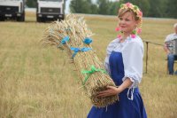 БУДА-КОШЕЛЕВО. У полі СУП «Андрэеўка» прайшлі «Зажынкі» БУДА-КОШЕЛЕВО. У полі СУП «Андрэеўка» прайшлі «Зажынкі»