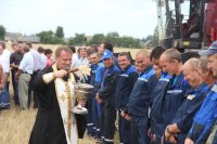 БУДА-КОШЕЛЕВО. У полі СУП «Андрэеўка» прайшлі «Зажынкі» БУДА-КОШЕЛЕВО. У полі СУП «Андрэеўка» прайшлі «Зажынкі»