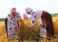 РОГАЧЕВ. Зажинки в Кормянском районе