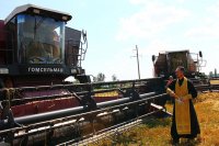 РОГАЧЕВ. Зажинки в Кормянском районе