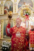 Гомельчане встретили частицу мощей святого великомученика и целителя Пантелеимона Гомельчане встретили частицу мощей святого великомученика и целителя Пантелеимона