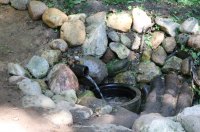 КОРМА. Возрождение святой кринички в Кормянском районе