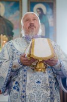 Божественная литургия в праздник Толгской иконы Божией Матери