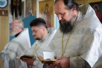 Божественная литургия в праздник Толгской иконы Божией Матери